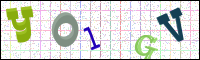 Image Verification